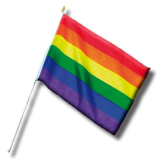 BANDERIN PEQUEÑO ORGULLO LGBT image 0