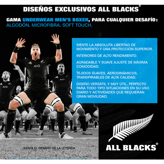 CALZONCILLO ALL BLACKS EN COLOR GRIS CLARO  image 2