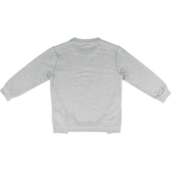 SUDADERA COTTON BRUSHED FROZEN 2 - GRIS image 1