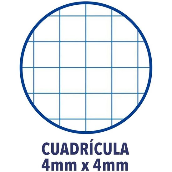 RECAMBIO 4A PARA CARPETA CUADRICULA 4X4 120H image 0