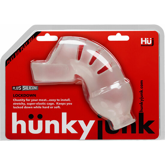 LOCKDOWN CHASTITY CAGE - ICE image 1