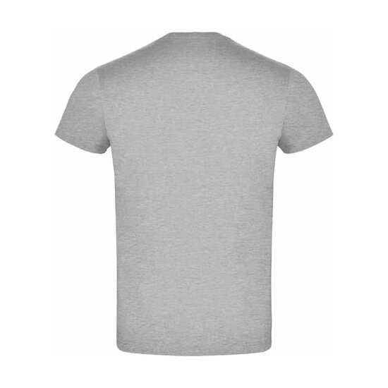 PACK DE 10 CAMISETAS DE MANGA CORTA ROLY, GRIS CON CUELLO REDONDO DOBLE image 1