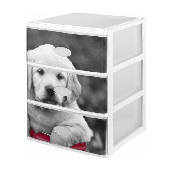 LOTE DE 3 CAJAS EN COLOR NEGRO CON DISEÑOS DE PERROS image 0