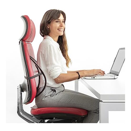 RESPALDO LUMBAR PORTÁTIL TRANSPIRABLE BACKONFY INNOVAGOODS image 2