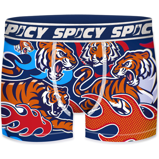 CALZONCILLO BOXER UNITARIO SPICY PARA HOMBRE - MICROFIBRA  image 0