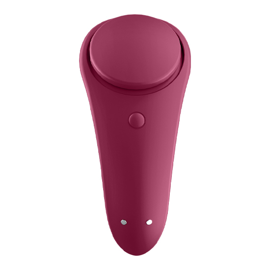 SATISFYER SEXY SECRET PANTY image 1