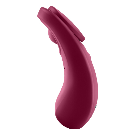 SATISFYER SEXY SECRET PANTY image 5