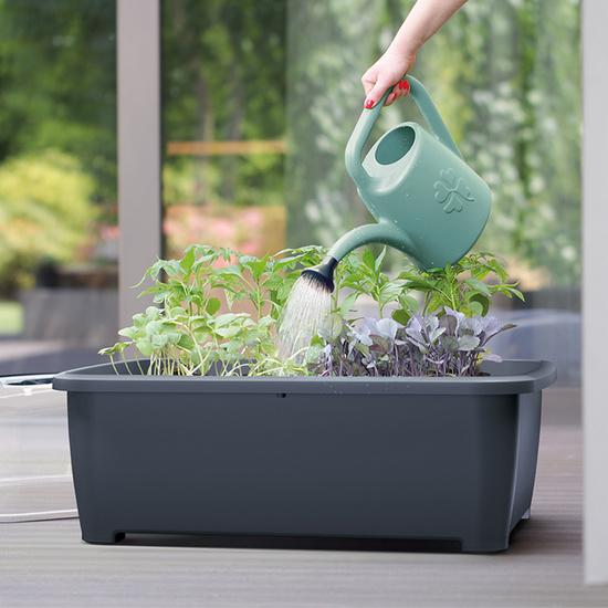 REGADERA DE JARDIN 4,5L PROSPERPLAST KONI EN COLOR SAVIA image 2