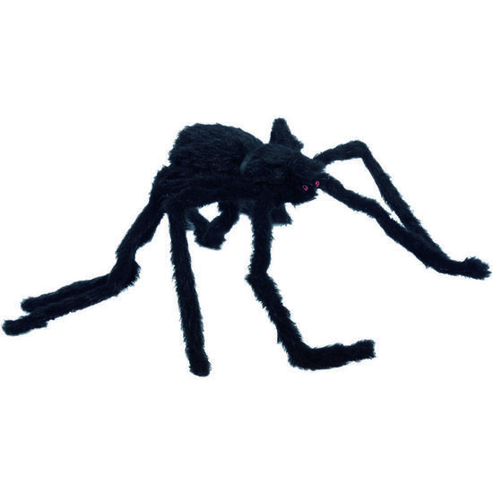 ARAÑA GIGANTE image 0