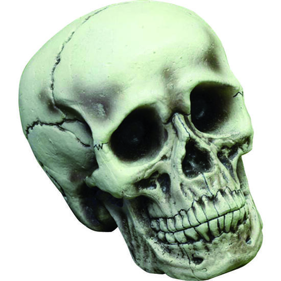 CALAVERA 12 CM. image 0