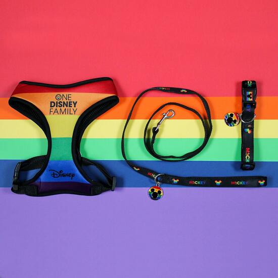 DOG LEAD M DISNEY PRIDE image 2