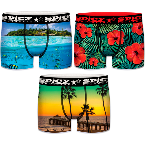 PACK DE 3 CALZONCILLOS SPICY BOXER INFANTILES ESTAMPADOS EN VARIOS COLORES image 0