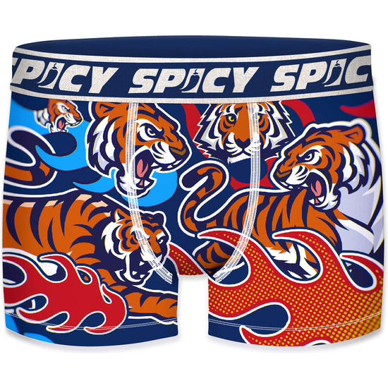 PACK DE 3 CALZONCILLOS SPICY BOXER ESTAMPADOS PARA HOMBRE EN VARIOS COLORES image 1