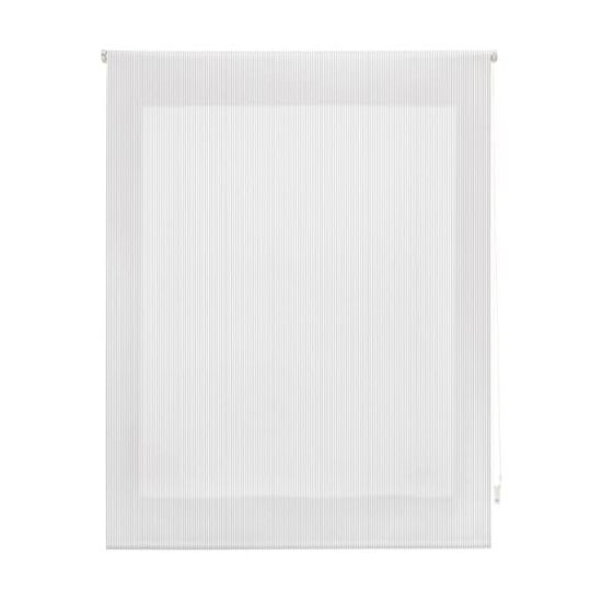 ESTOR ENROLLABLE WEB ESTANDAR TRASLUCIDO DISEÑO image 0