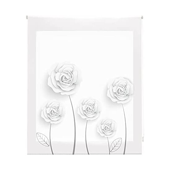 ESTOR ENROLLABLE AMAZON TRASL. 28MM ESTAMPADO image 0