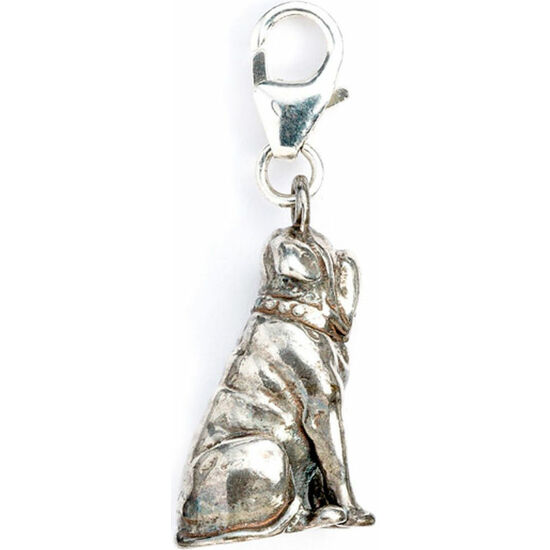 COLGANTE CHARM HAGRIDS DOG FANG HARRY POTTER PLATA image 2