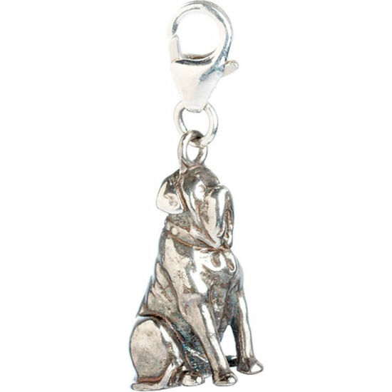 COLGANTE CHARM HAGRIDS DOG FANG HARRY POTTER PLATA image 3