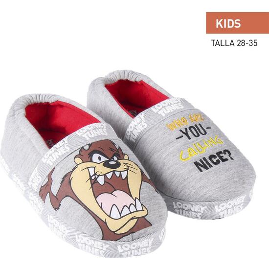 ZAPATILLAS DE CASA FRANCESITA LOONEY TUNES LIGHT GRAY image 0