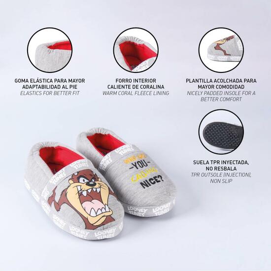 ZAPATILLAS DE CASA FRANCESITA LOONEY TUNES LIGHT GRAY image 4