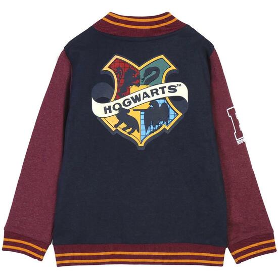 SUDADERA CON CREMALLERA COTTON BRUSHED HARRY POTTER DARK BLUE image 1