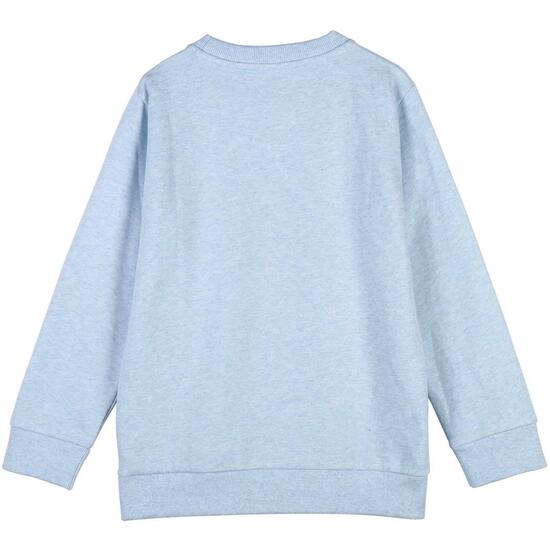 SUDADERA COTTON BRUSHED STITCH LIGHT BLUE image 1