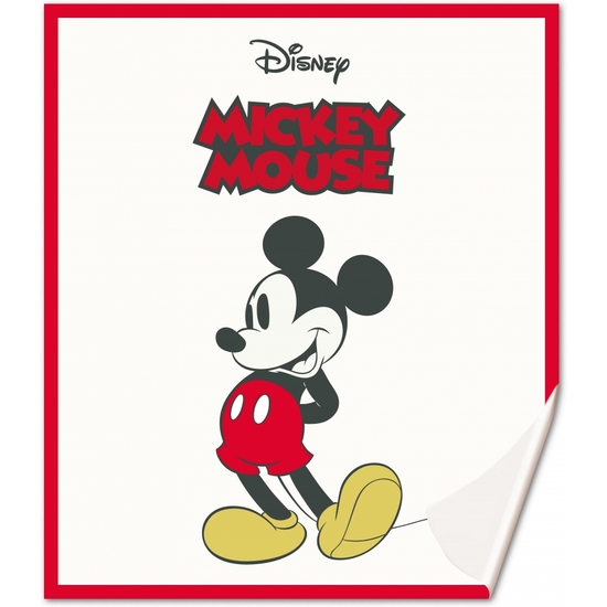 MICKEY VINTAGE MANTA EXTRA SUAVE 160X130 image 0