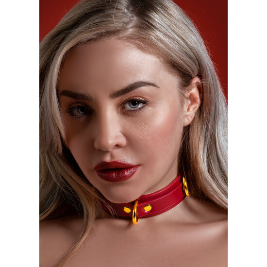TABOOM D-RING COLLAR DELUXE image 2