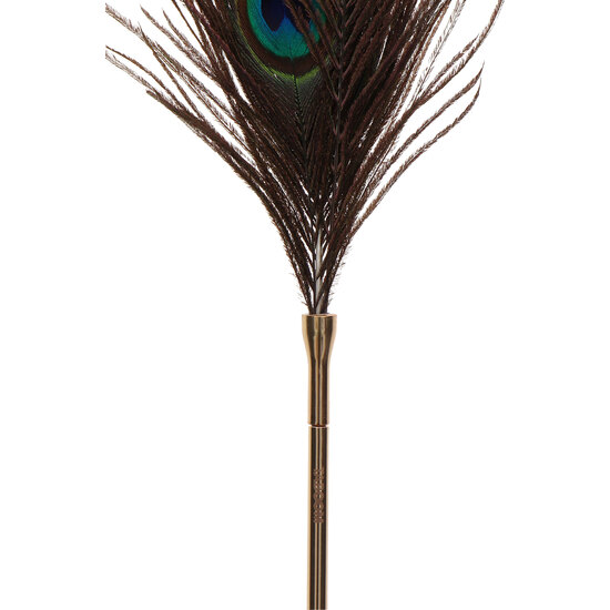 TABOOM PEACOCK TICKLER image 5