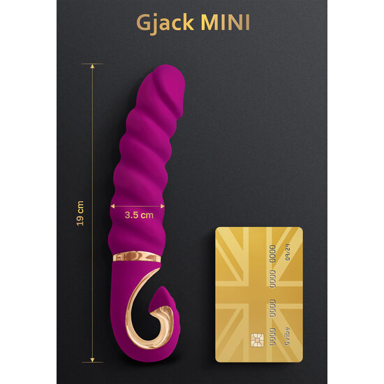 GJACK MINI image 2