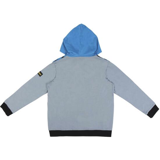 SUDADERA CON CAPUCHA COTTON BRUSHED BATMAN GRAY image 1