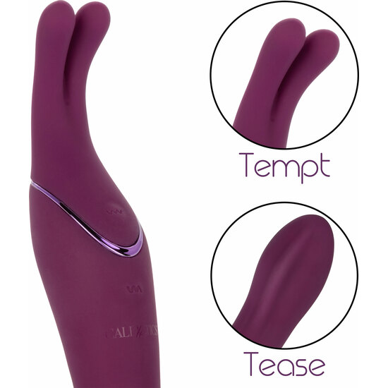 TEMPT AND TEASE SASS PURPLE image 8