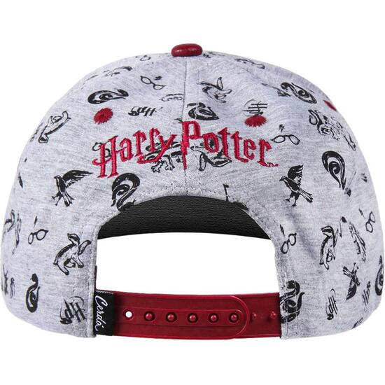 GORRA VISERA PLANA HARRY POTTER GRAY image 1