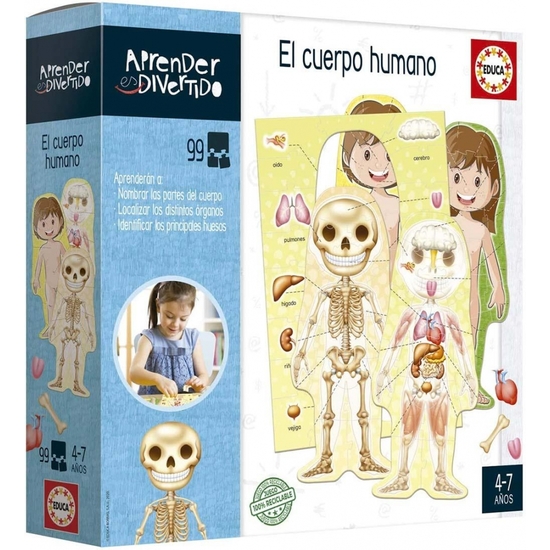 JUEGO EDUCA APRENDER DIVER CUERPO HUMANO image 0