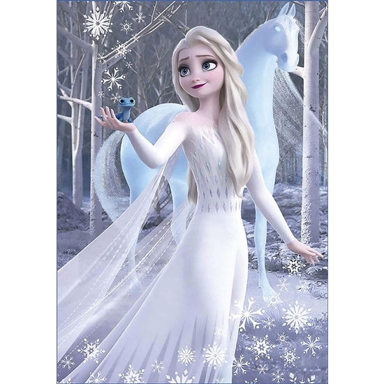 FROZEN Y ANNA PUZZLE DOBLE 2X500 image 1