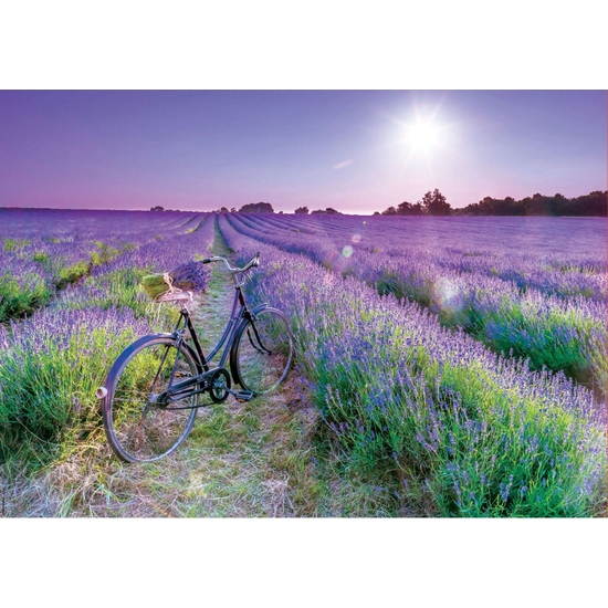 PUZZLE EDUCA 1000 PZAS LAVANDA BICICLETA image 1