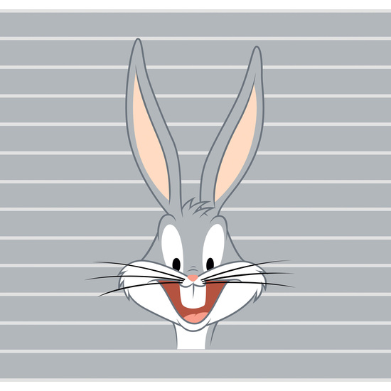 BOUTI 100 GR MODELO BUGS BUNNY PARA CAMA 135 (235X270CM.) image 2