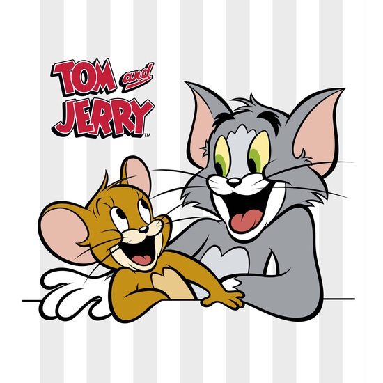 BOUTI 100 GR MODELO TOM AND JERRY BASIC PARA CAMA DE 90 (190X270CM.) image 2