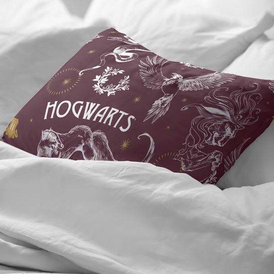 FUNDA DE ALMOHADA 100% ALGODÓN MODELO HPOTTER CREATURES DE 50X80CM. image 1