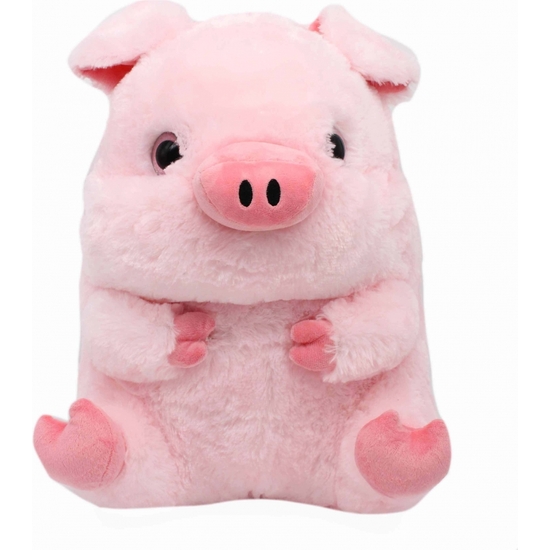 CERDITO PELUCHE OJOS BRILLANTES 20 CM. image 0