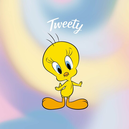 FUNDA NÓRDICA CON BOTONES 100% ALGODÓN MODELO SWEET TWEETY PARA CAMA DE 90 ( 155X220 CM.) image 3