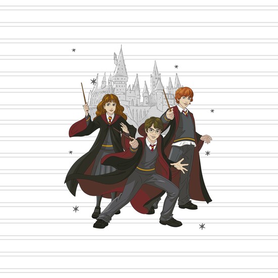 FUNDA NÓRDICA CON BOTONES 100% ALGODÓN MODELO HARRY POTTER TEAM PARA CAMA DE 105 (180X240 CM) image 3