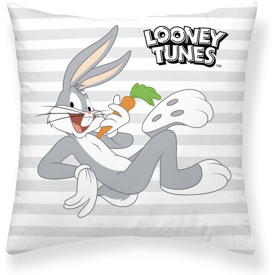 COJÍN CON RELLENO INCLUIDO 45X45CM MODELO LOONEY TUNES CHARACTERS A image 0