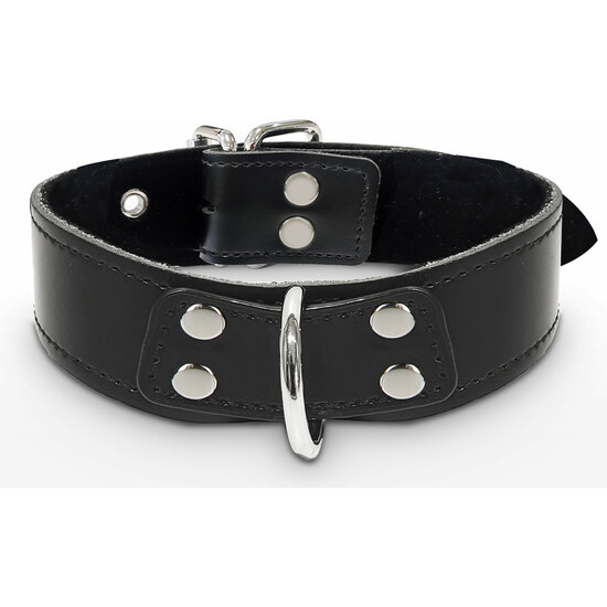 ELEGANT D-RING COLLAR BLACK image 0