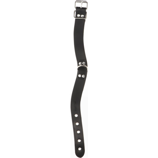 ELEGANT D-RING COLLAR BLACK image 3