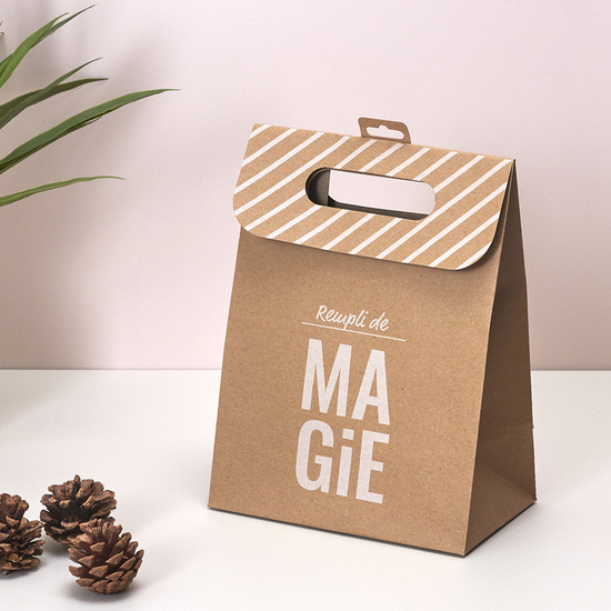 BOLSA REGALO PLEGABLE KRAFT image 3