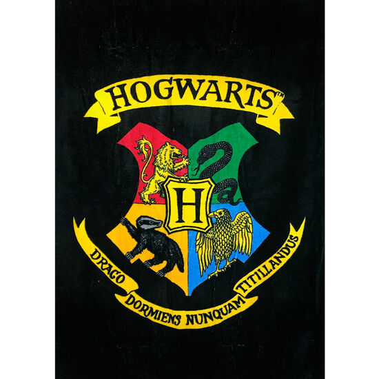 TOALLA HOGWARTS HARRY POTTER ALGODON image 0