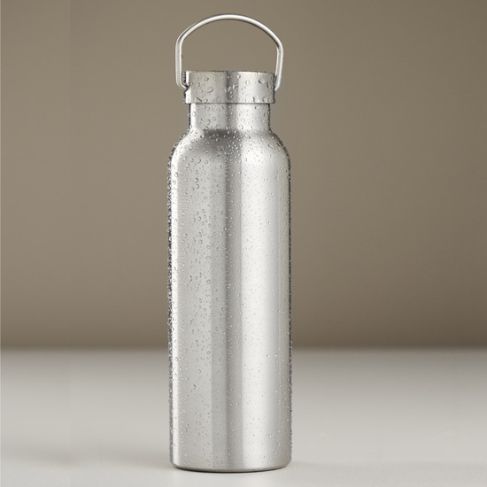 TERMO BOTELLA 500 ML H.24 CM image 1