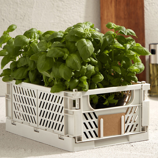 CAJA PLEGABLE 33X24,5 NATURAL image 3