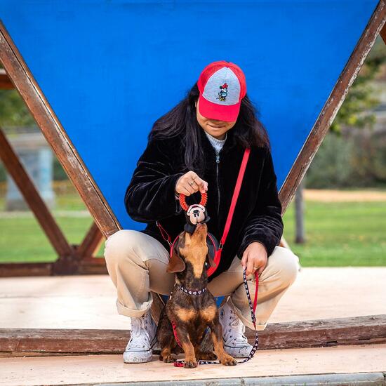 MORDEDOR PARA PERRO MICKEY RED image 5