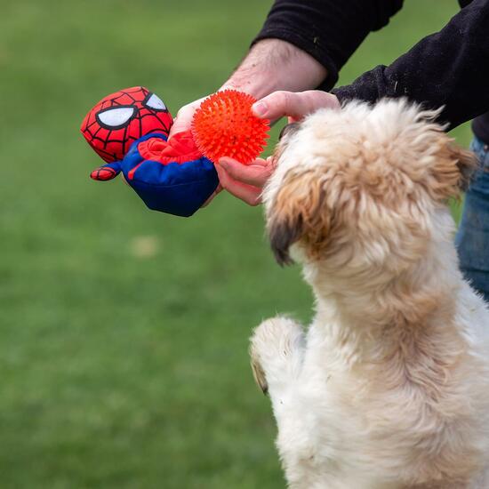 PELUCHE PARA PERRO PELOTA SPIDERMAN RED image 5